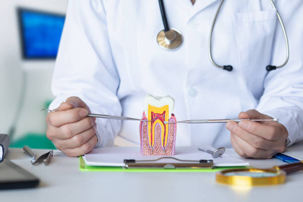 Best Emergency Cosmetic Dentistry in Indian Trail, NC